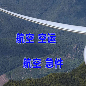 湛江航空货运快递-选东方航空和上海航空