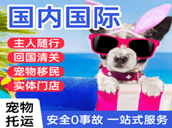 湛江航空货运国际宠物托运 【国